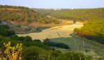 DSCN4705.JPG