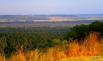 DSCN4706.JPG