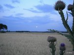 DSCN4710.JPG