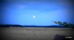 DSCN4710.JPG