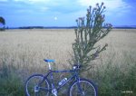 DSCN4708.JPG