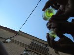 IMG_2802.JPG