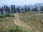 DSC00217.jpg