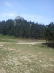 DSC00218.jpg