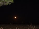 DSC02777.JPG