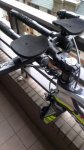 Kestrel05.jpg