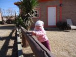 DSC00779.JPG