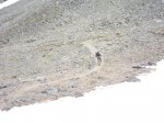Transalpina 20 13 134.JPG