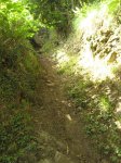 IMG_4020.JPG