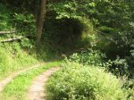 IMG_4030.JPG