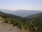 20130720_122121 [800x600].jpg