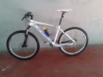 bici lado.jpg
