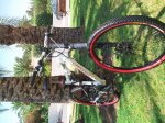 IMG_20130725_130833_800x600.jpg