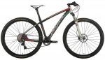 129 RC Team Carbon.jpg