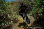 DSC_1431 copia.JPG