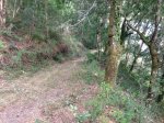 IMG_0846.jpg