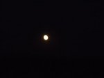 DSC01340.jpg