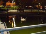 DSC01348.jpg