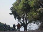 IMG_2847.JPG