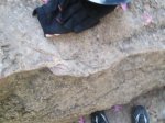 IMG_2867.JPG