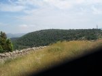 P7270094_800x600.jpg