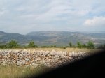 P7270097_800x600.jpg