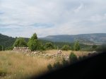 P7270098_800x600.jpg