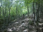 IMG_3063.JPG