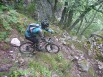 P1140511_800x600.jpg