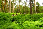 DSCF1540.JPG