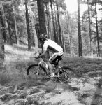 DSCF1534.JPG