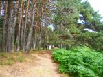 Foto9.JPG