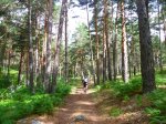 Foto13.JPG