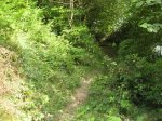 IMG_4007.JPG