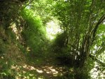 IMG_4009.JPG