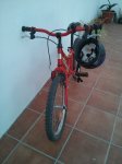 IMG_20130729_125441.jpg