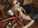 DSC01504.JPG