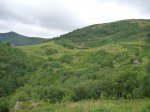 P1140349_800x600.jpg