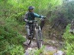P1140569_800x600.jpg