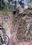 IMG_0922v2.jpg