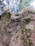 IMG_0924v2.jpg