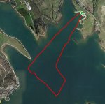swim vitoria.jpg