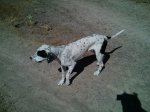 IMG_20130731_113842.jpg