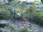 haibike.jpg