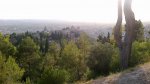 2013-07-31-007 small.jpg