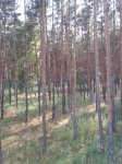 2013-07-06 16.58.42.jpg