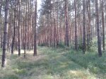2013-07-06 16.49.42.jpg