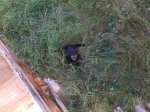 2013-07-06 16.58.08.jpg