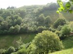 IMG_4012.JPG