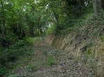 IMG_4035.JPG